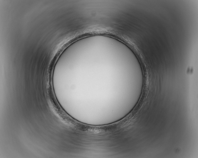X0000111170582200907011010