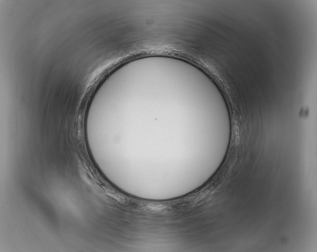 X0000111170583200907011010