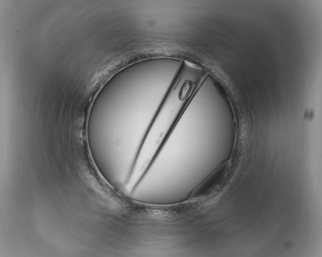 X0000111170585200907011010