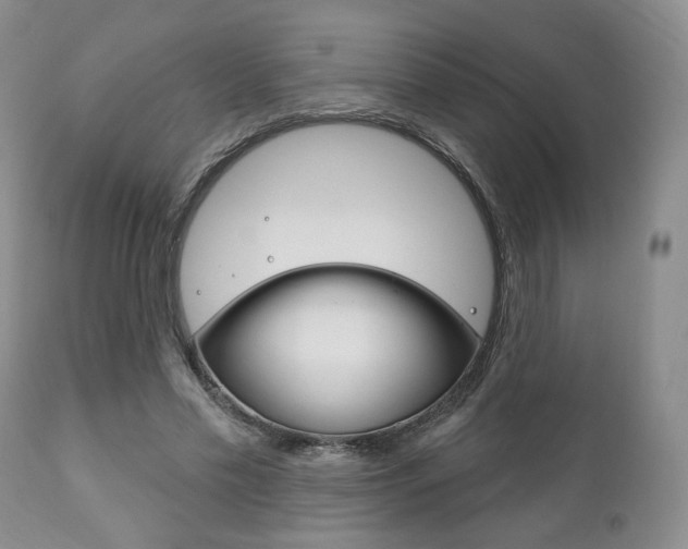 X0000111170589200907011010