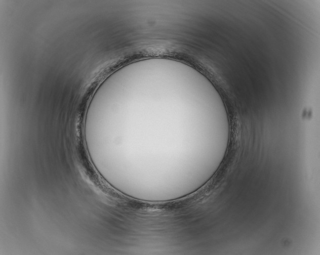X0000111170590200907011010