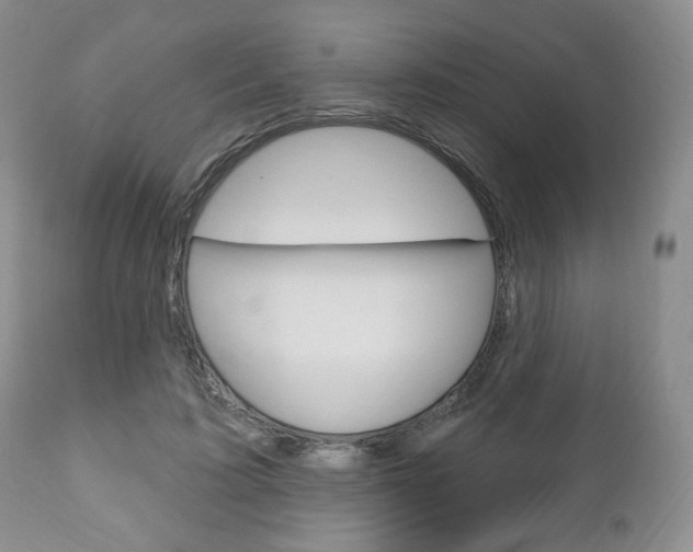 X0000111170595200907011010