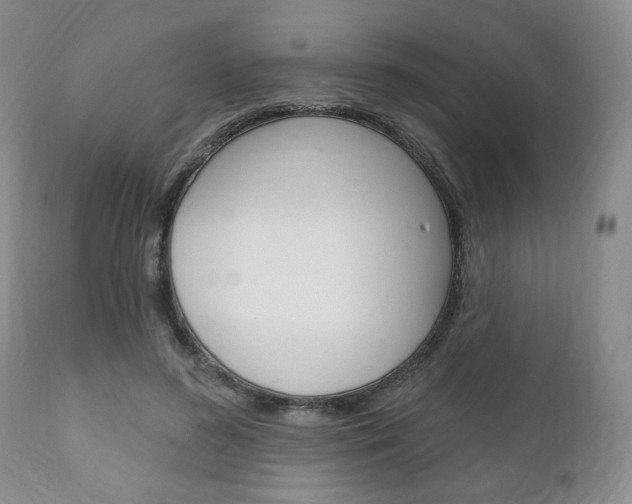 X0000111170596200907011010