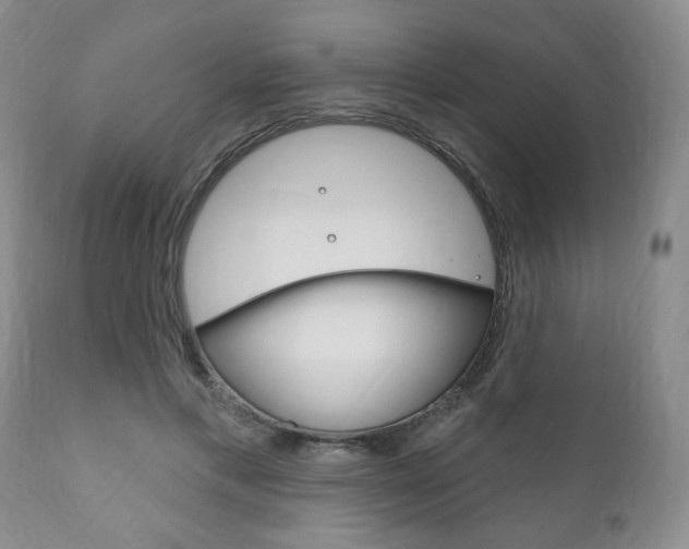 X0000111170597200907011010