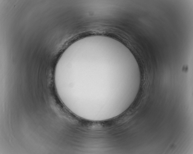 X0000111170600200907011010