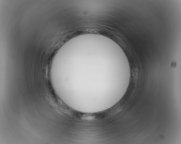 X0000111170602200907011010