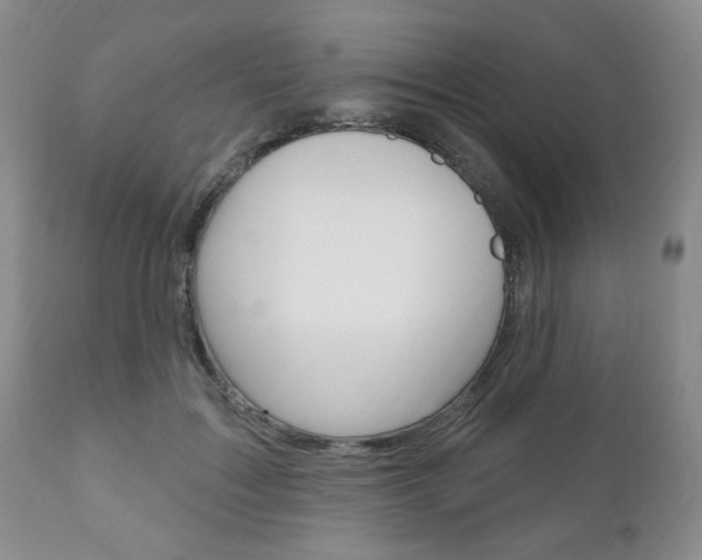 X0000111170603200907011010