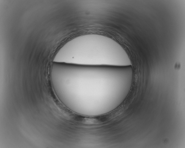 X0000111170605200907011010