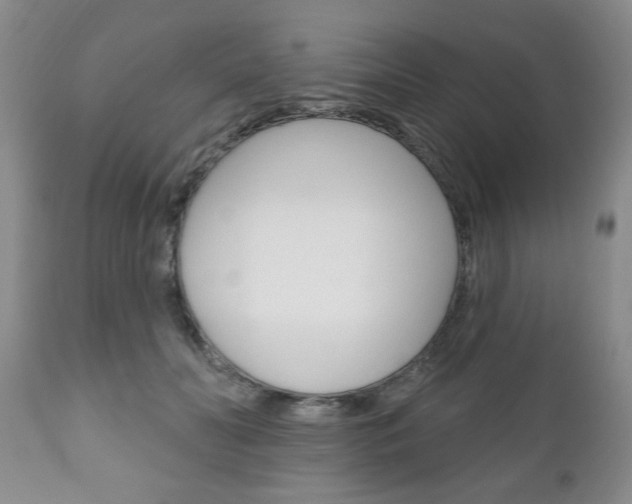 X0000111170606200907011010
