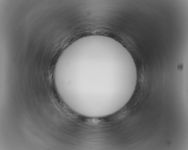 X0000111170607200907011010
