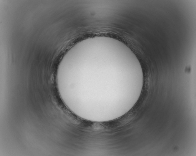 X0000111170608200907011010