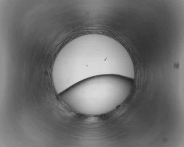 X0000111170609200907011010