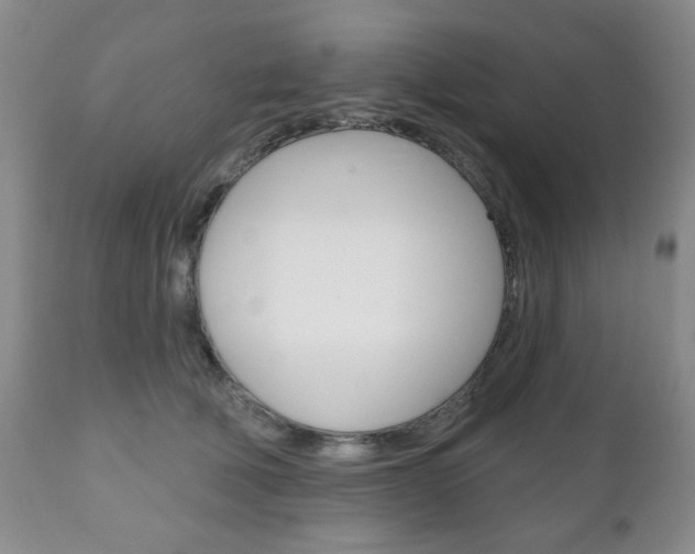 X0000111170610200907011010