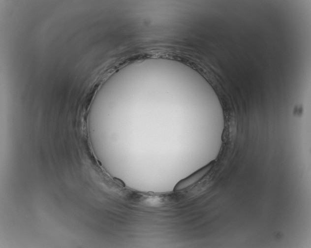 X0000111170611200907011010