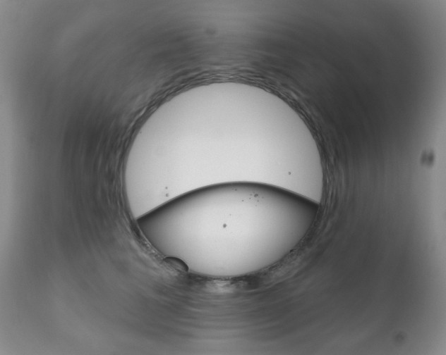 X0000111170613200907011010