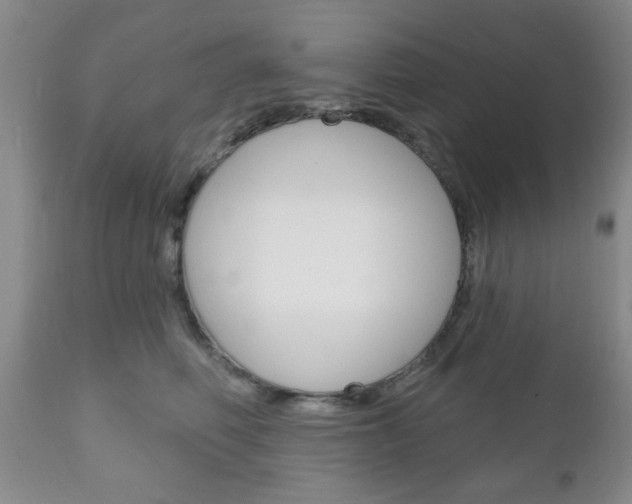 X0000111170614200907011010