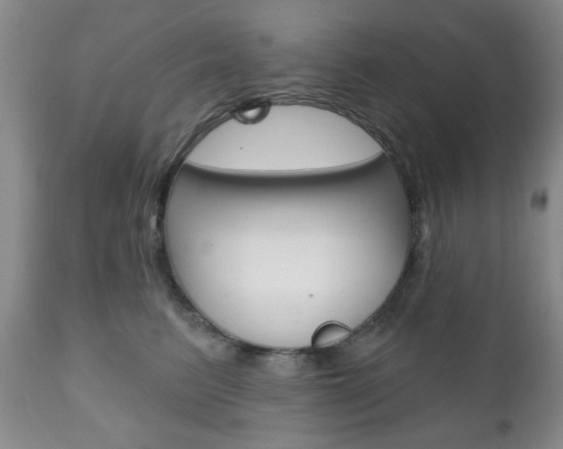 X0000111170615200907011010