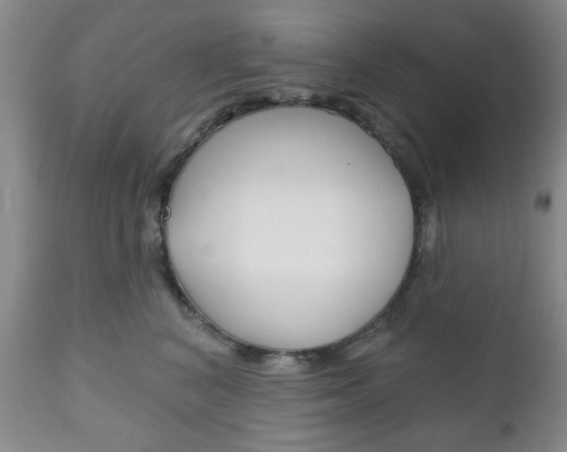 X0000111170616200907011010