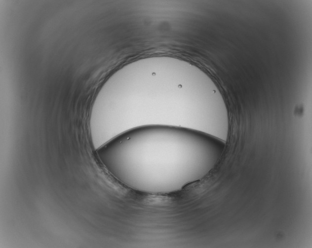 X0000111170617200907011010