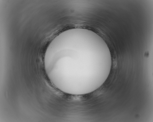 X0000111170618200907011010