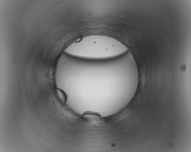 X0000111170619200907011010