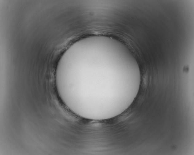 X0000111170620200907011010