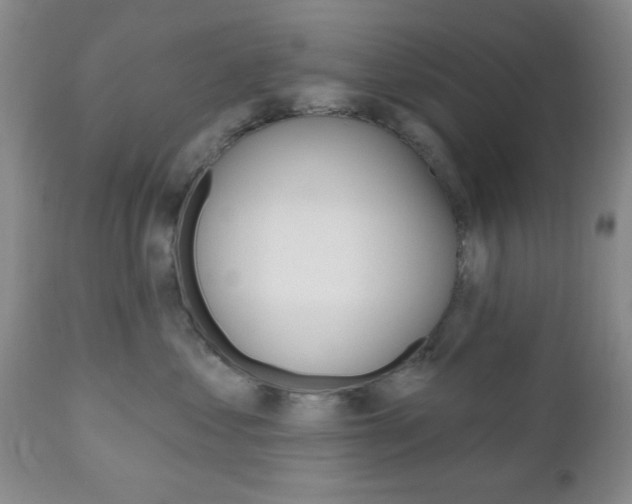 X0000111170621200907011010