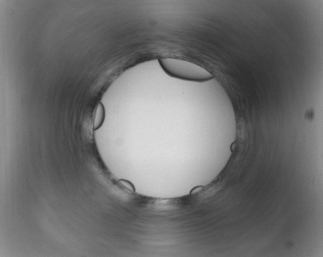 X0000111170622200907011010