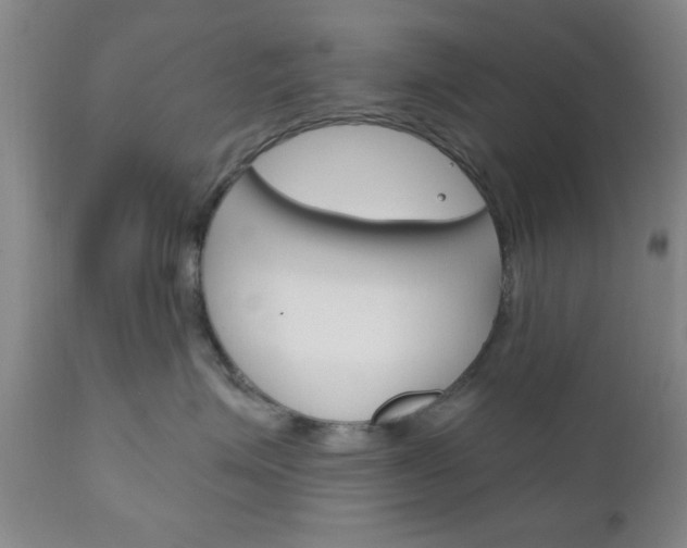 X0000111170623200907011010
