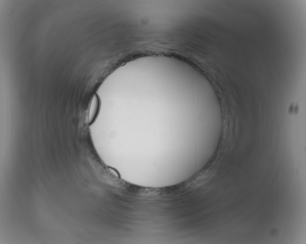 X0000111170624200907011010
