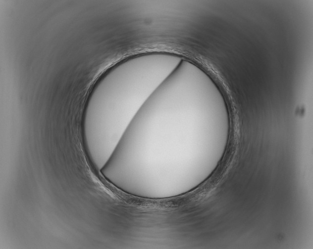 X0000111170625200907011009