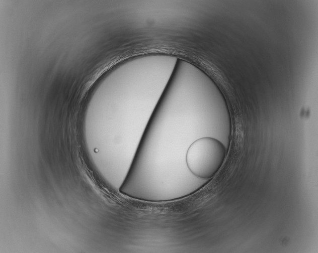 X0000111170626200907011009