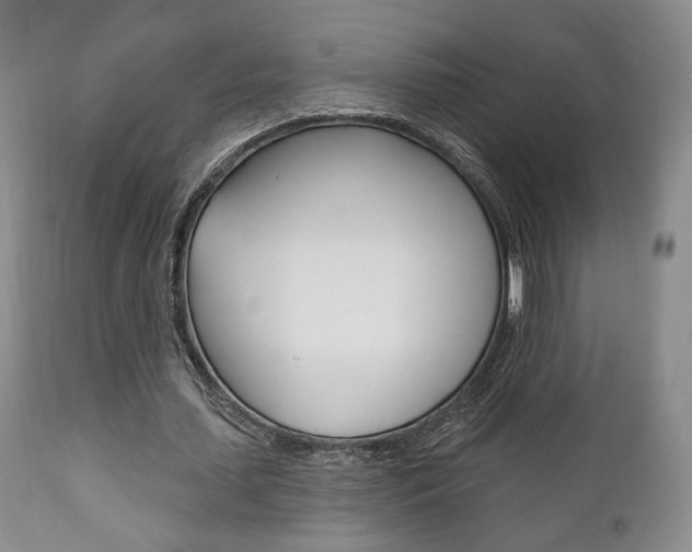 X0000111170627200907011009