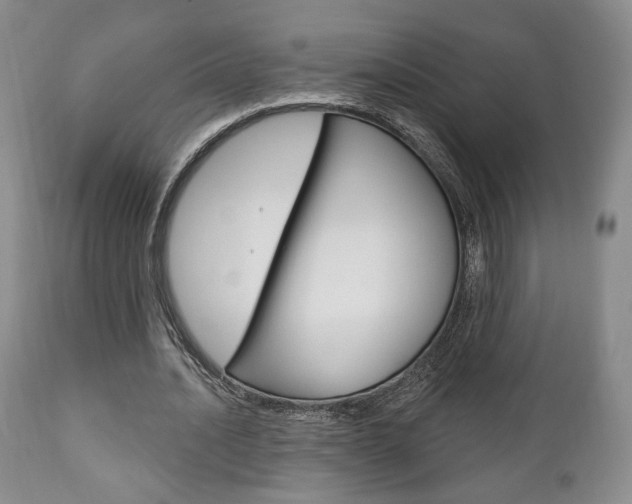 X0000111170628200907011009