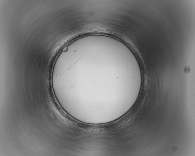 X0000111170629200907011009