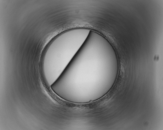 X0000111170630200907011009