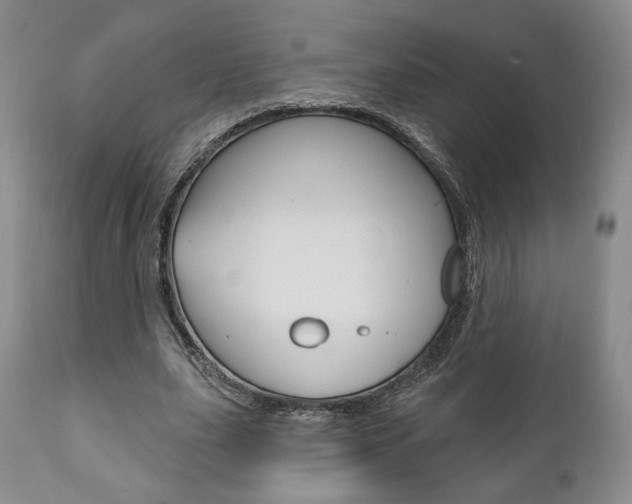 X0000111170631200907011009