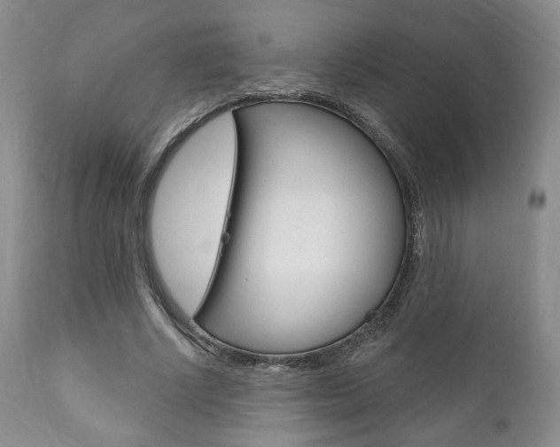 X0000111170634200907011009