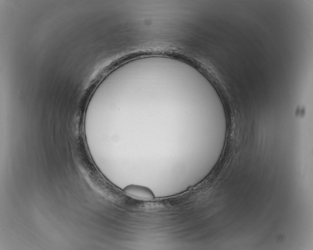 X0000111170636200907011009