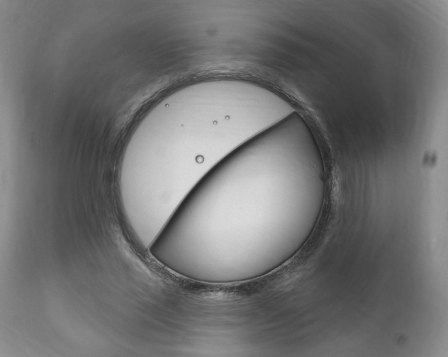 X0000111170637200907011009