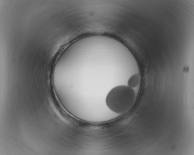 X0000111170638200907011009