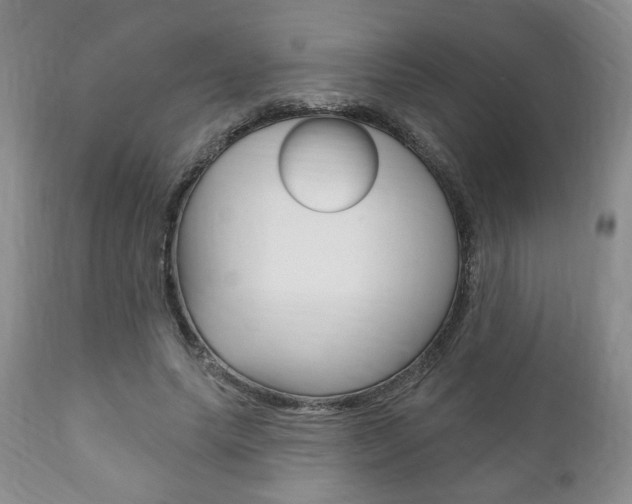 X0000111170639200907011009