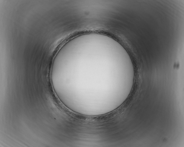 X0000111170640200907011009