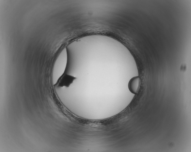 X0000111170642200907011009