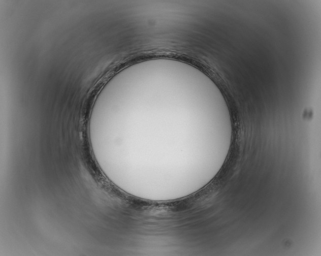 X0000111170643200907011009