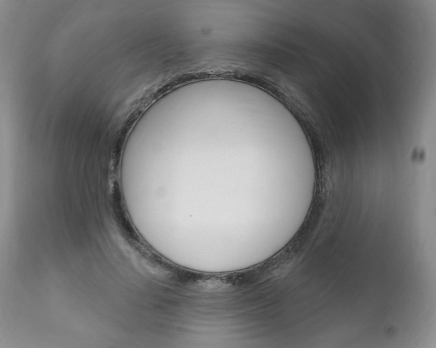 X0000111170644200907011009