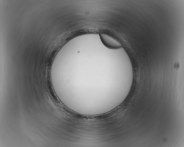X0000111170645200907011009