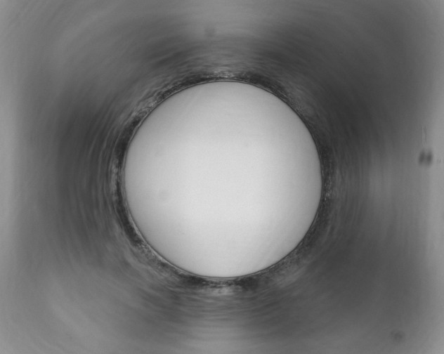 X0000111170646200907011009
