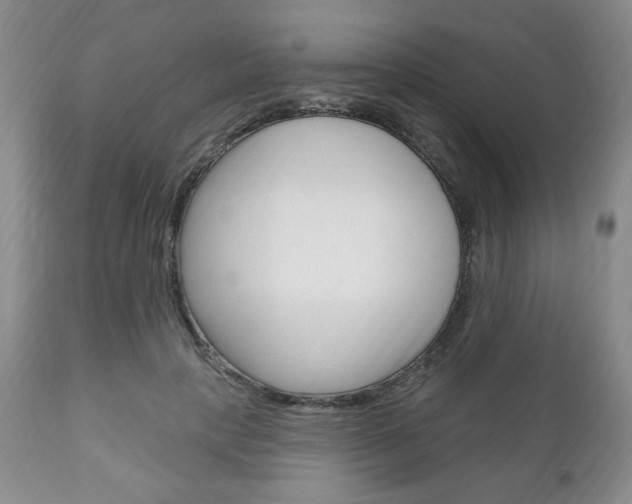 X0000111170649200907011009