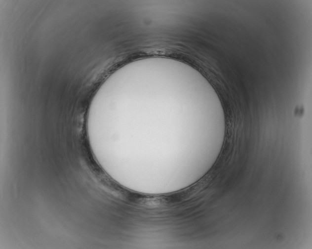 X0000111170652200907011009